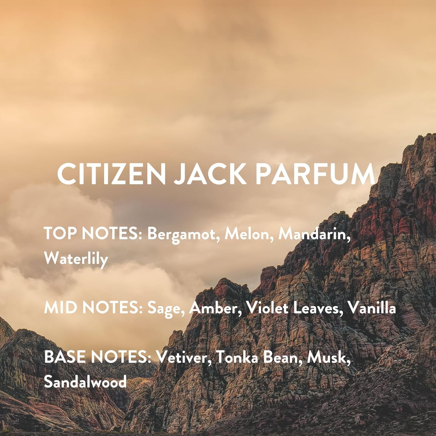 Michael Malul Citizen Jack Parfum Eau de Parfum - 100ml | 3.4oz